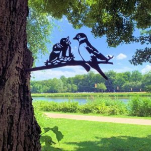 Birdwise - Mussen met jonkies