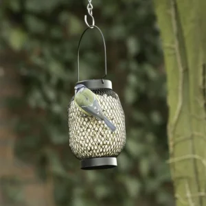 Pindasilo Berlijn zwart