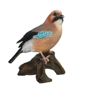 Vlaamse gaai op stam