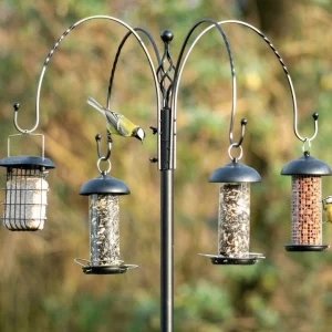 Voederstation Tambora