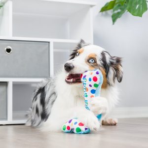 Lulubelles | It’s My Barkday Bone