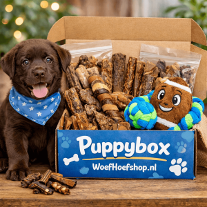 Puppybox | Boy