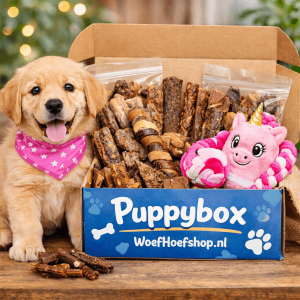 Puppybox | Girl