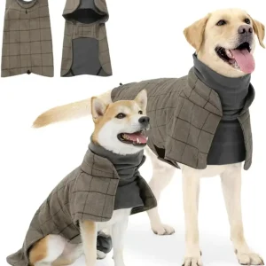 Winterjas - Gentleman