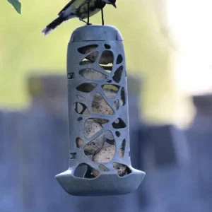 SingingFriend -  Tara