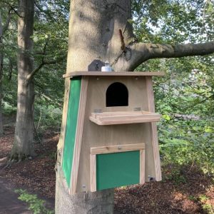 CaptureWILD - Kerkuil