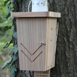 CaptureWILD - Vleermuis