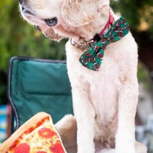 Lulubelles Power Plush Pup-Eroni Pizza | Small