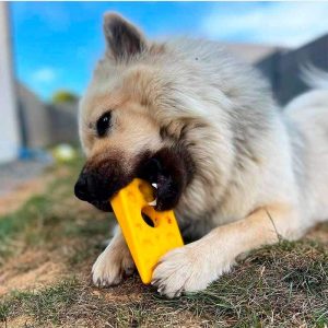 Sodapup Swiss Cheese – Geel