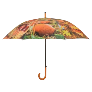 Paraplu herfstprint