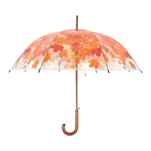 Paraplu boomkroon herfst