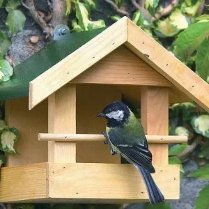 Vogelbescherming - Voederhuis Memphis